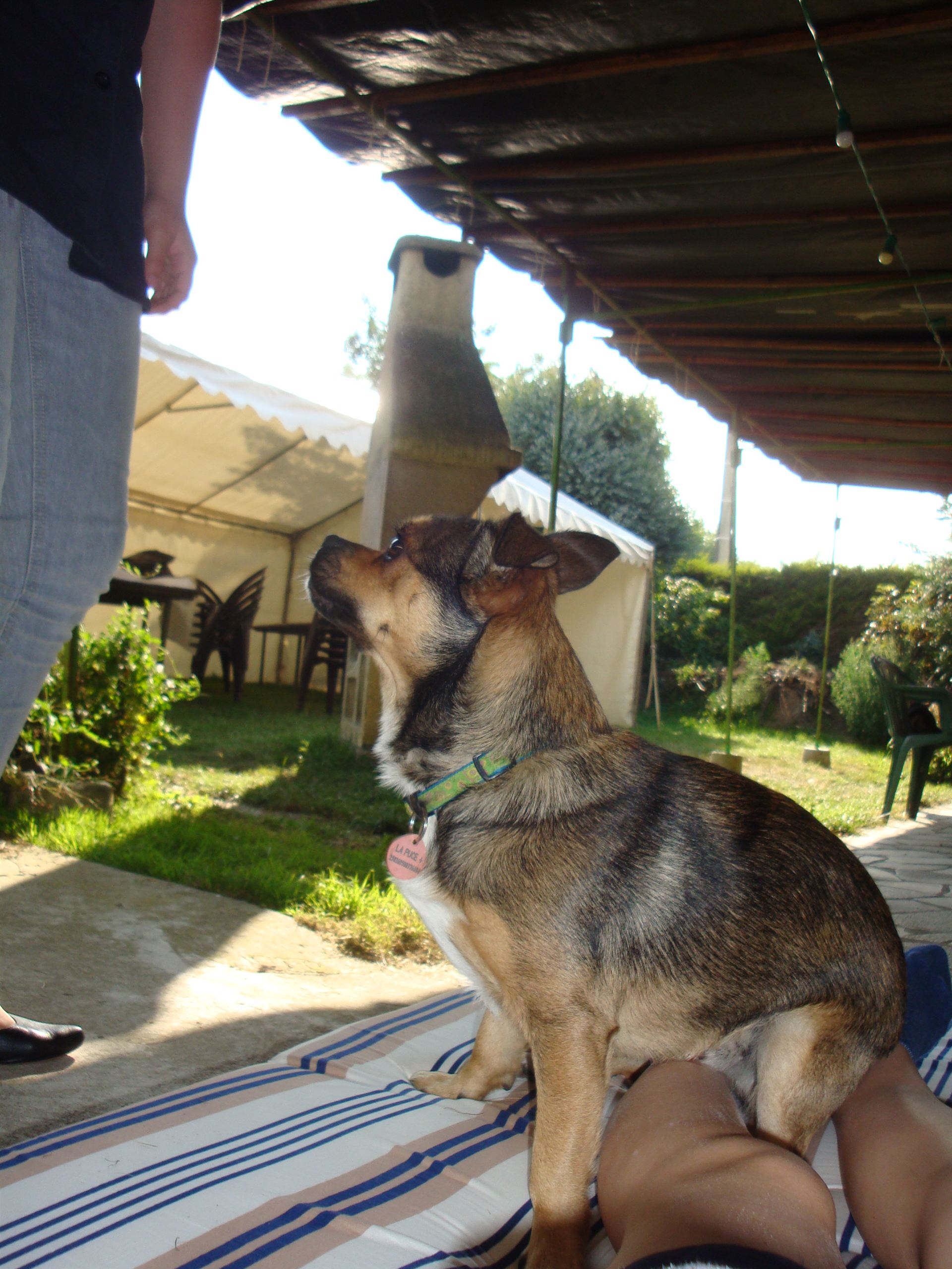 Fly, 02/08/2011