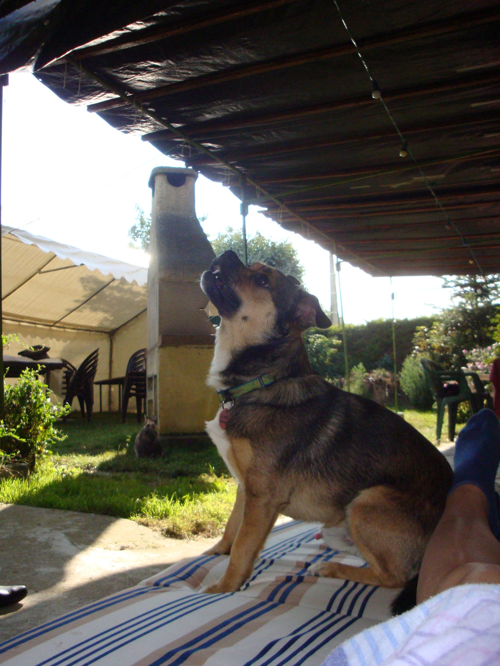 Fly, 02/08/2011